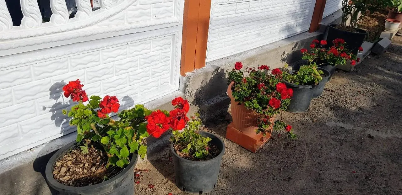 Casita Lola Tenerife Sur Villa San Miguel de Abona Holiday home
