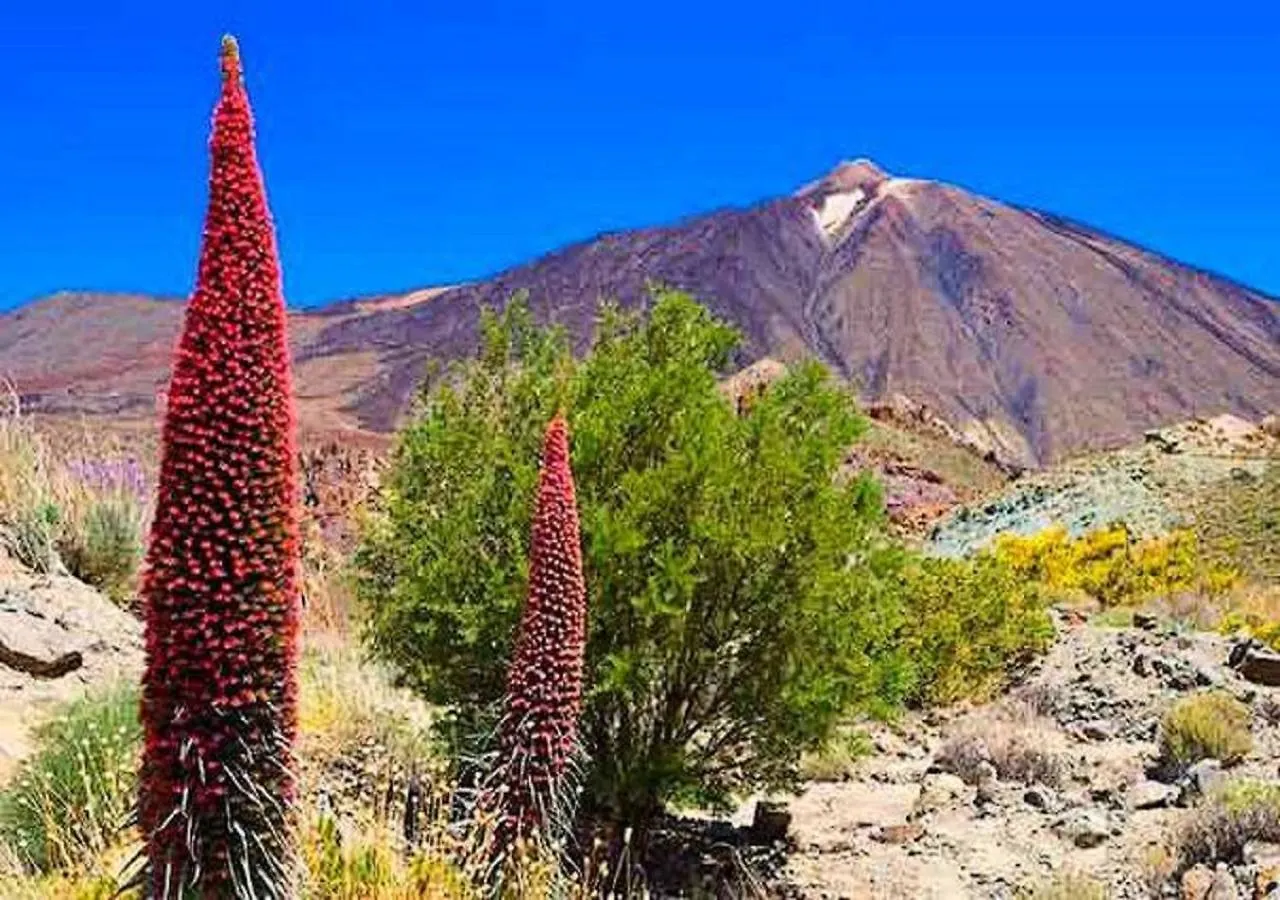 Holiday home Casita Lola Tenerife Sur Villa San Miguel de Abona Spain